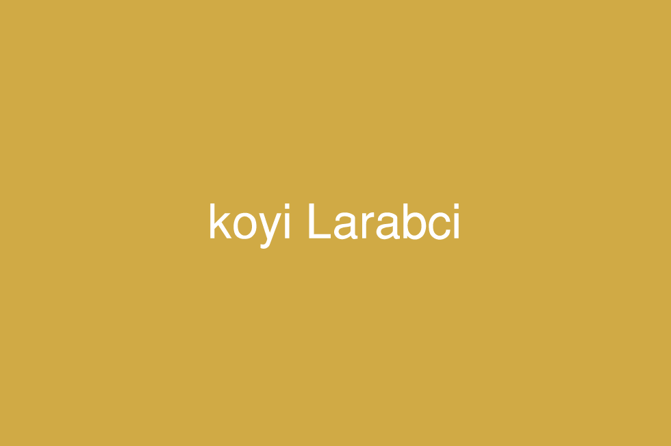 الهوسا